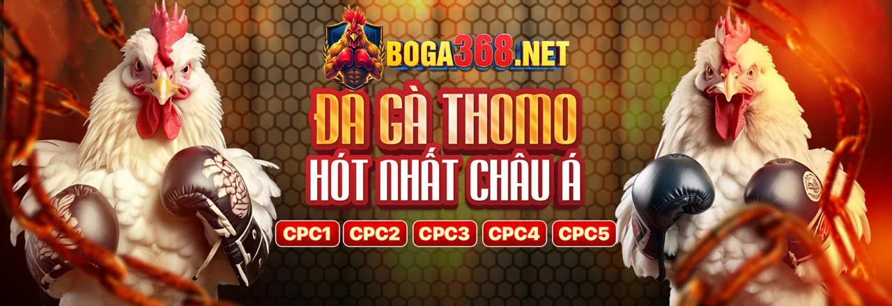 Cá cược thể thao trực tiếp tại 89beta2 nhà cái với giao diện hiện đại