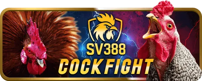 Hoàn trả cược đá gà 89beta2 nhà cái